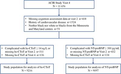 Cognition impairment and risk of subclinical cardiovascular disease in older adults: The atherosclerosis risk in communities study